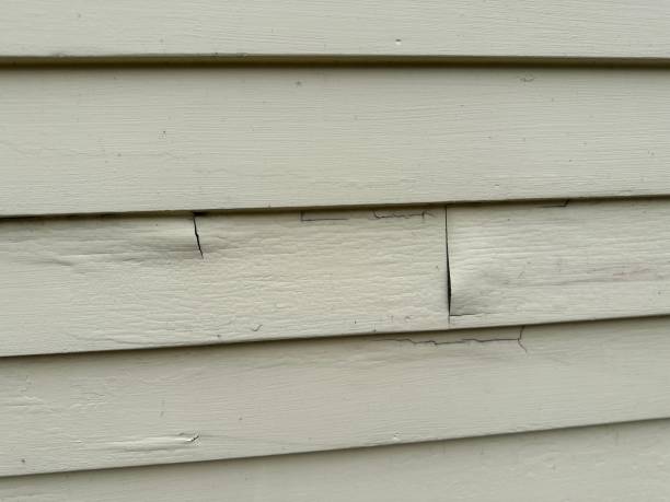 Best Insulated Siding Installation  in Mirrormont, WA